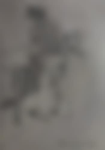 Ouvrier, Thorn (preview)