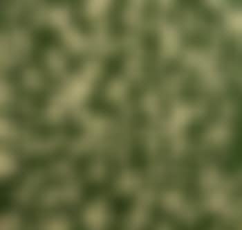Monogramouflage (preview)