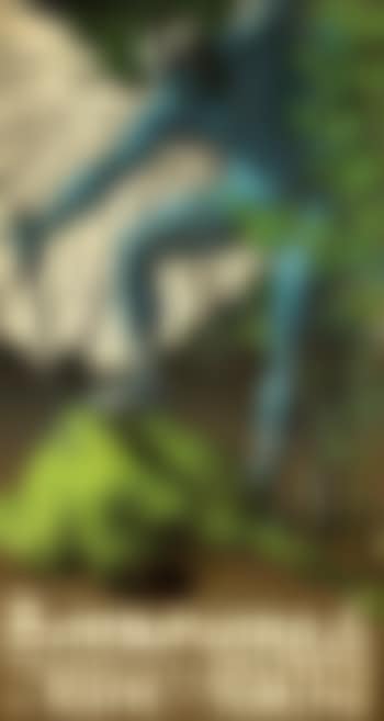Barbavara (preview)