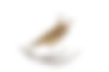 Rocking chair (preview)
