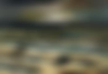 Barques sur la plage (preview)
