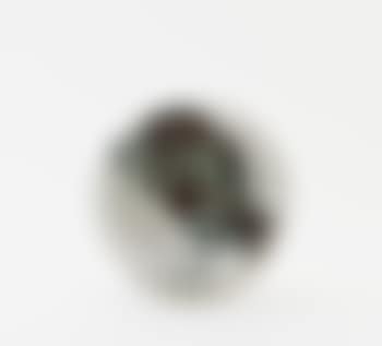 Bird with worm (preview)