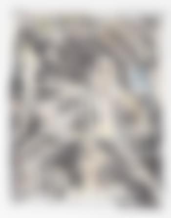 a) De blauwe aap; b) Ecce homo?; c) Systema secreta (preview)