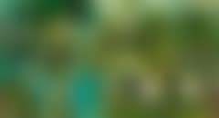 Tapirpar med unge ved skovsø (Tapir couple with young by a forest lake) (preview)