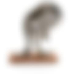 Bird figure (Amoroso) (preview)