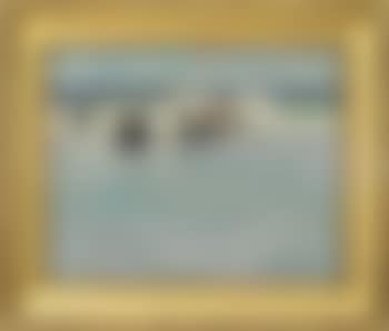 Playing in the Waves (preview)