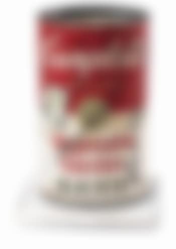Campbell's vegetable garden soup (preview)