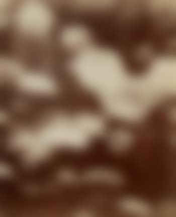 Capucines (preview)