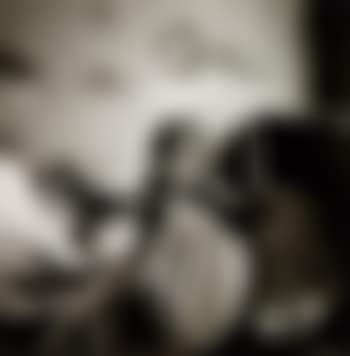 The vanished world (preview)