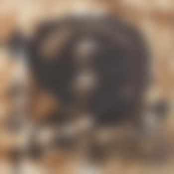 Senza titolo (preview)