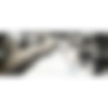 Sparrows and Pine (preview)