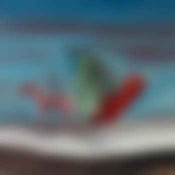 Bird (preview)