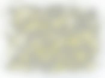 Composizione giallo chiaro (preview)