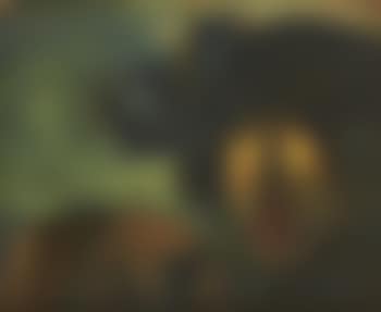 Cerbère (preview)