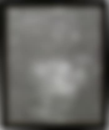 Corpse After Negating Visual Art Strategies (C.A.N.V.A.S.) (preview)