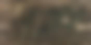 Untitled (Landscape) (preview)