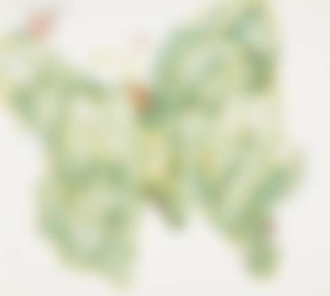 BUTTERFLY (preview)