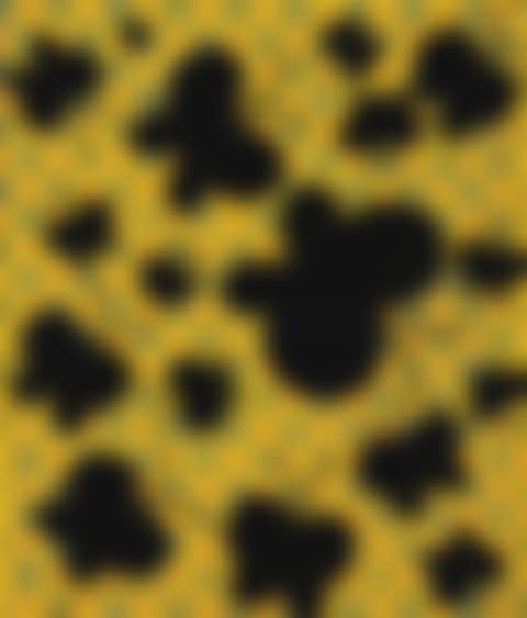 BLACK BUTTERFLIES (preview)