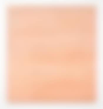 UNTITLED (PEACH) (preview)