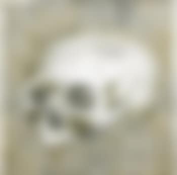 Silver Skull #1 (preview)
