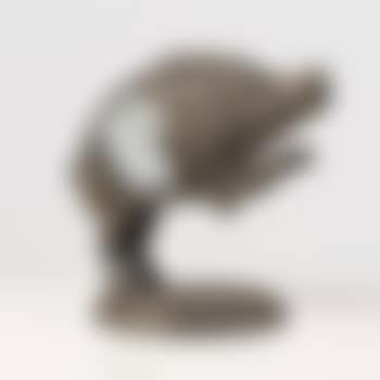 Cinghiale (preview)