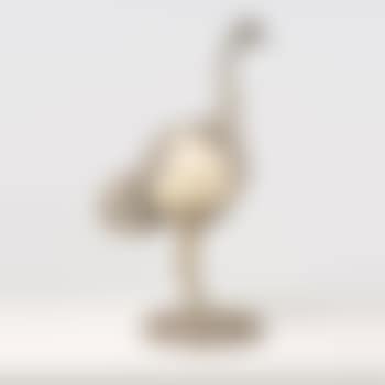 Struzzo (preview)