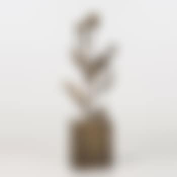 Le chardon (preview)