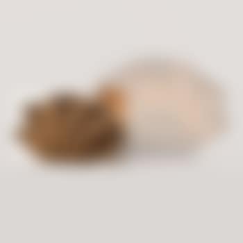 Sculpture (preview)