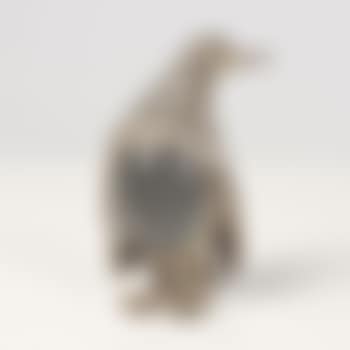 Pinguino (preview)