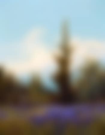 Purple Lupin, Near Juneau (1927) (preview)