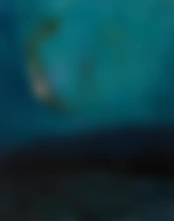 Northern Lights (preview)