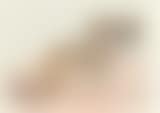 A dachshund (preview)