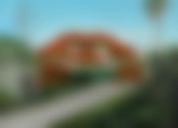 Red Poinciana with shack by the road (preview)