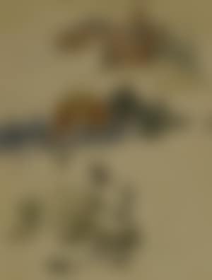 Landskapsskisser. Fru Ganberg/Portrattstudie (preview)