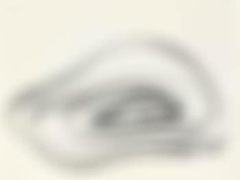 Untitled (Eye Spring) (preview)