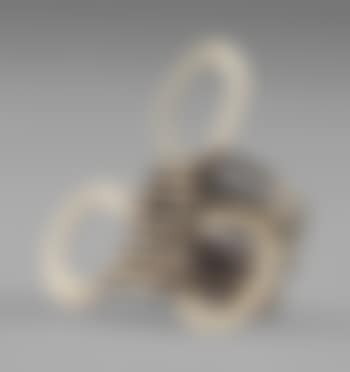 Untitled (Ring) (preview)