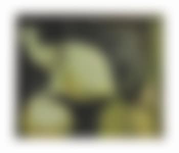 Flight (preview)