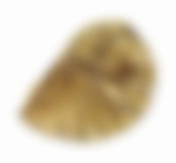 Gold Lustre (preview)
