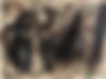 Figurale Darstellung (preview)