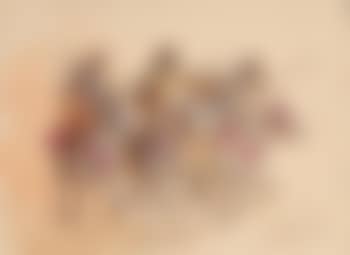Fantasia (preview)
