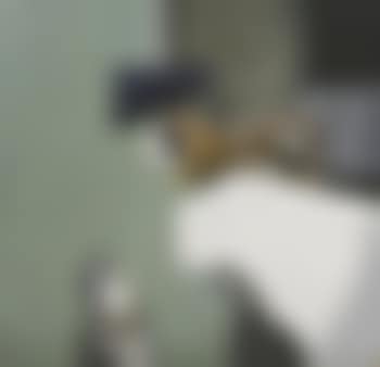 Inspecting the machine I (preview)