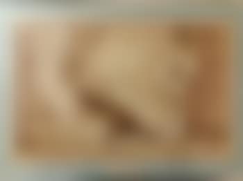 [Untitled] (preview)