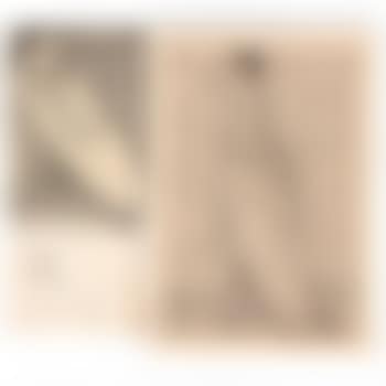 Rabbi Walking; Aged Rabbi Head (preview)