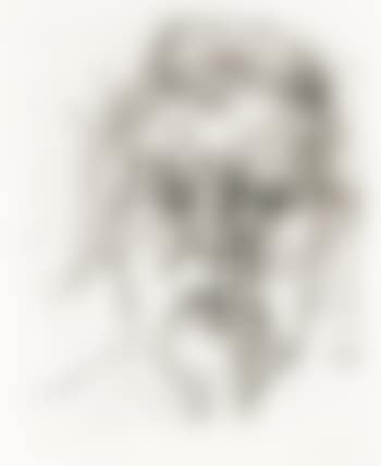 The Painter's Mother (H. 20) (preview)