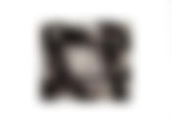 Square (preview)