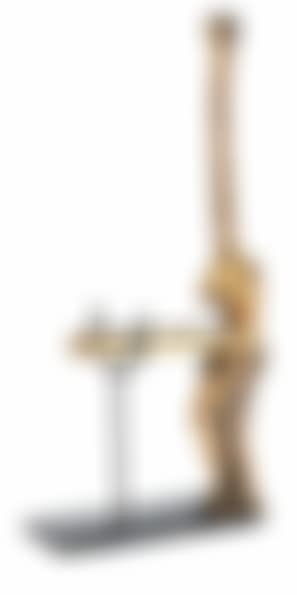 Venus à la giraffe (preview)