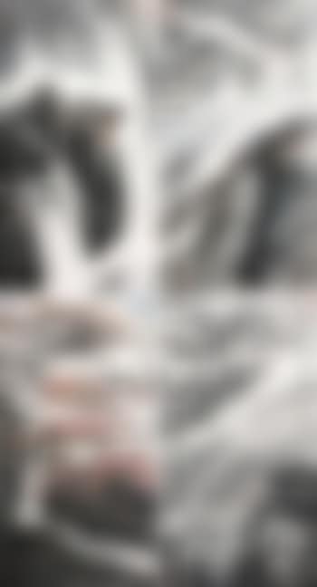 Landscape (preview)