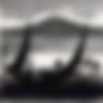 Water bird (preview)