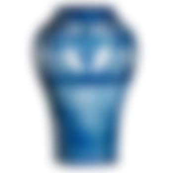 Early vase (preview)