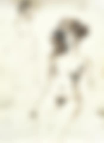Woman with a Hat - Femme au chapeau (preview)